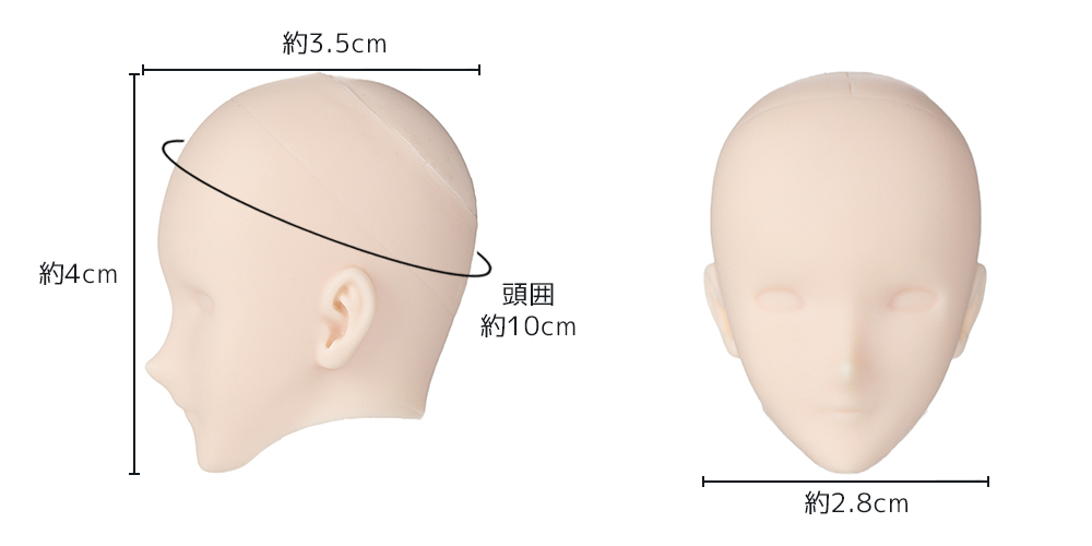 OBITSU BODY 30 ヘッドと追加カラー I・DOLL 先行販売します